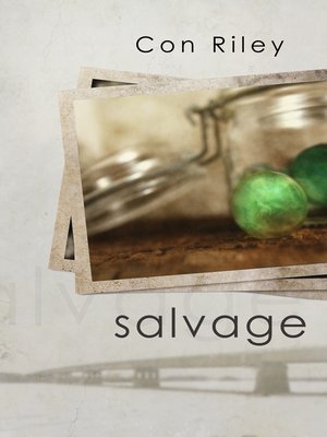 cover image of Salvage